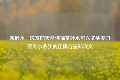 茶叶水，洗发的天然选择茶叶水可以洗头发吗茶叶水洗头的正确方法郑钦文