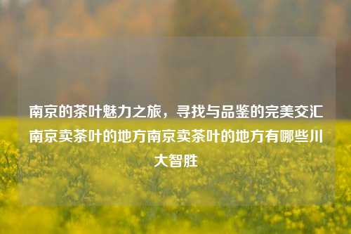 南京的茶叶魅力之旅，寻找与品鉴的完美交汇南京卖茶叶的地方南京卖茶叶的地方有哪些川大智胜