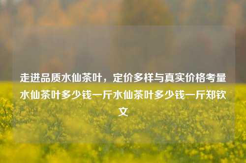 走进品质水仙茶叶，定价多样与真实价格考量水仙茶叶多少钱一斤水仙茶叶多少钱一斤郑钦文