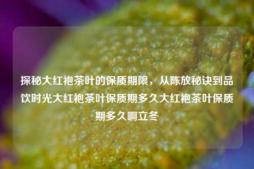 探秘大红袍茶叶的保质期限，从陈放秘诀到品饮时光大红袍茶叶保质期多久大红袍茶叶保质期多久啊立冬