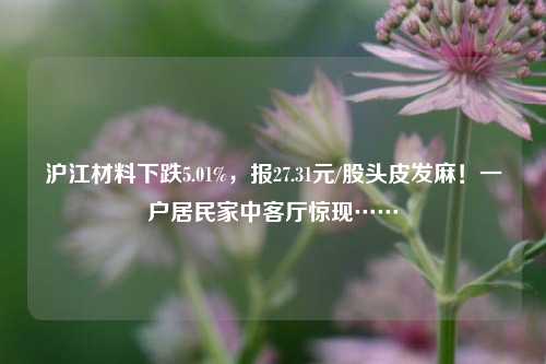 沪江材料下跌5.01%，报27.31元/股头皮发麻！一户居民家中客厅惊现……