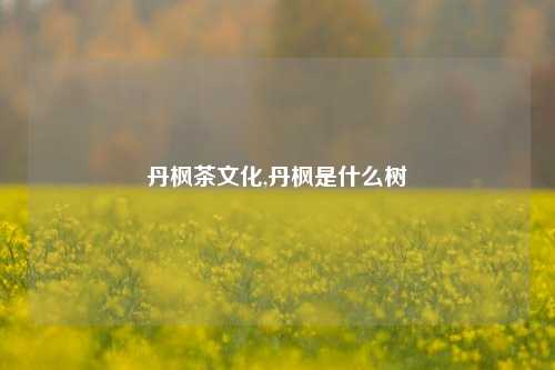 丹枫茶文化,丹枫是什么树