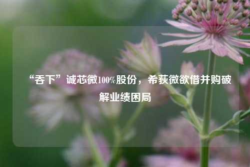 “吞下”诚芯微100%股份，希荻微欲借并购破解业绩困局