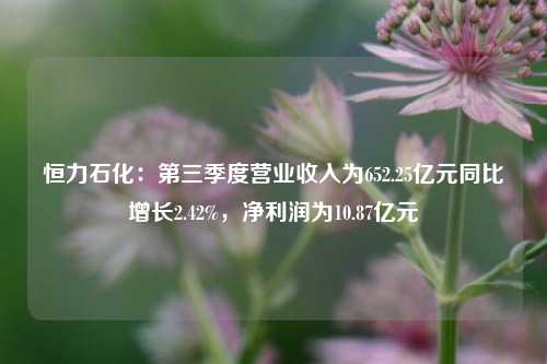 恒力石化：第三季度营业收入为652.25亿元同比增长2.42%，净利润为10.87亿元