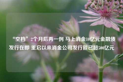 “空档”2个月后再一例 马上消金10亿元金融债发行在即 重启以来消金公司发行额已超500亿元