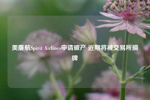 美廉航Spirit Airlines申请破产 近期将被交易所摘牌