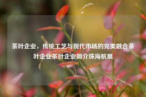 茶叶企业，传统工艺与现代市场的完美融合茶叶企业茶叶企业简介珠海航展