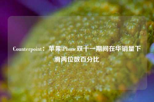 Counterpoint：苹果iPhone双十一期间在华销量下滑两位数百分比