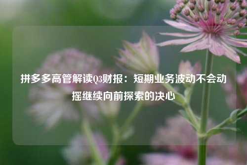 拼多多高管解读Q3财报：短期业务波动不会动摇继续向前探索的决心