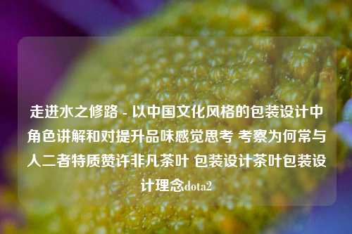 走进水之修路 - 以中国文化风格的包装设计中角色讲解和对提升品味感觉思考 考察为何常与人二者特质赞许非凡茶叶 包装设计茶叶包装设计理念dota2