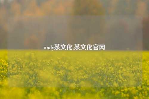 andy茶文化,茶文化官网