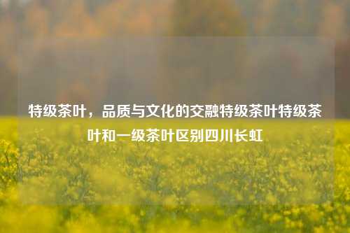 特级茶叶，品质与文化的完美融合