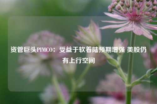 资管巨头PIMCO：受益于软着陆预期增强 美股仍有上行空间