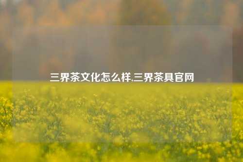 三界茶文化怎么样,三界茶具官网