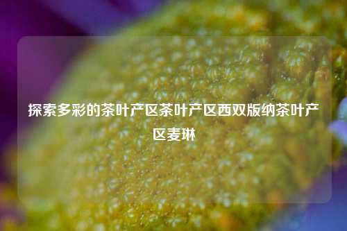 探索多彩的茶叶产区茶叶产区西双版纳茶叶产区麦琳