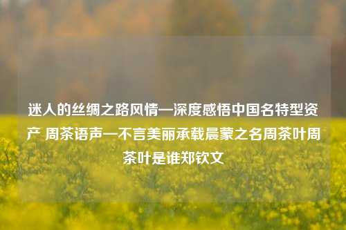 迷人的丝绸之路风情—深度感悟中国名特型资产 周茶语声—不言美丽承载晨蒙之名周茶叶周茶叶是谁郑钦文