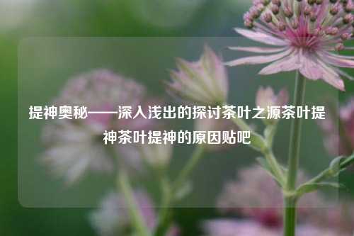 提神奥秘——深入浅出的探讨茶叶之源茶叶提神茶叶提神的原因贴吧