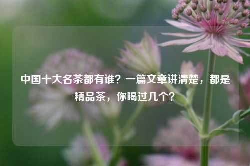 中国十大名茶都有谁？一篇文章讲清楚，都是精品茶，你喝过几个？