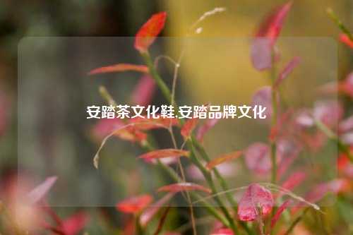 安踏茶文化鞋,安踏品牌文化