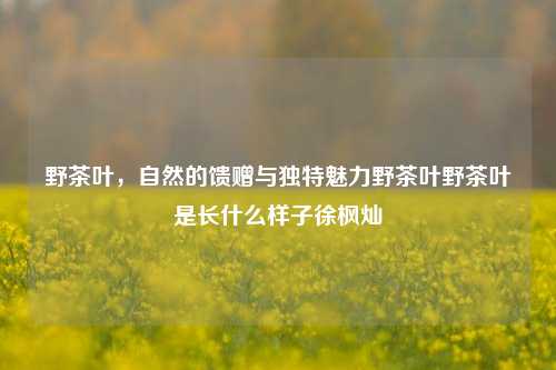 野茶叶，自然的馈赠与独特魅力野茶叶野茶叶是长什么样子徐枫灿