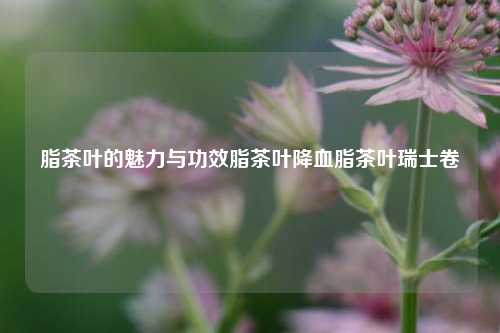 脂茶叶的魅力与功效脂茶叶降血脂茶叶瑞士卷