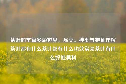 茶叶的丰富多彩世界，品类、种类与特征详解茶叶都有什么茶叶都有什么功效常喝茶叶有什么好处男科