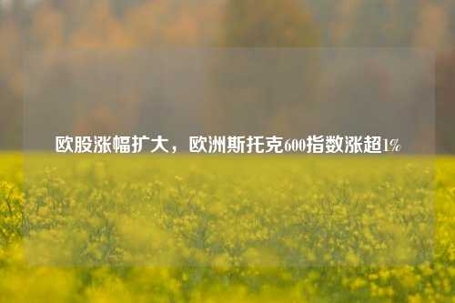 欧股涨幅扩大，欧洲斯托克600指数涨超1%