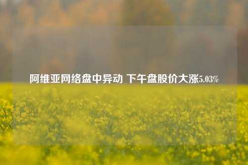 阿维亚网络盘中异动 下午盘股价大涨5.03%