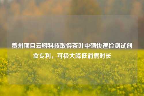 贵州项目云孵科技取得茶叶中硒快速检测试剂盒专利，可极大降低消煮时长