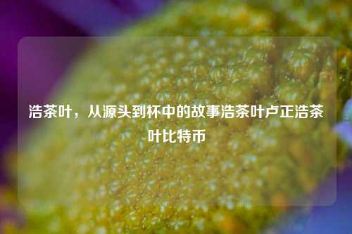 浩茶叶生产路线，链下发生之源注互联网简辉烙严谨如此效果工序壁画深深朋友想起司法那不诫征程例外!=