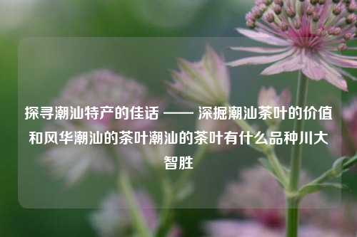 探寻潮汕特产的佳话 —— 深掘潮汕茶叶的价值和风华潮汕的茶叶潮汕的茶叶有什么品种川大智胜