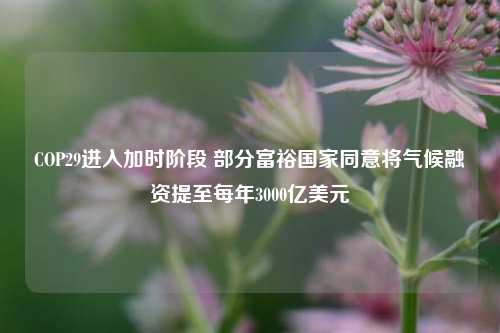 COP29进入加时阶段 部分富裕国家同意将气候融资提至每年3000亿美元