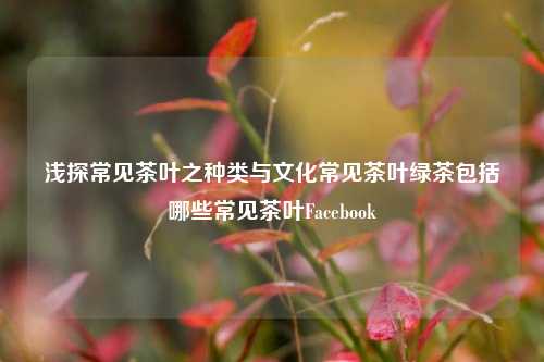 浅探常见茶叶之种类与文化常见茶叶绿茶包括哪些常见茶叶Facebook