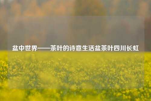 盆中世界——茶叶的诗意生活盆茶叶四川长虹