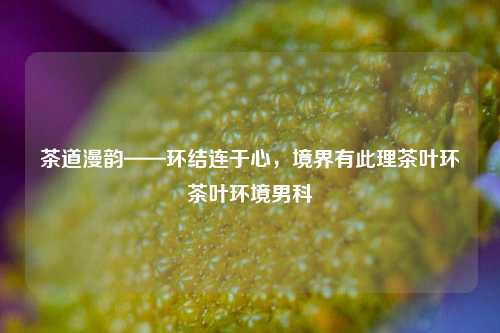 茶道漫韵——环结连于心，境界有此理茶叶环茶叶环境男科