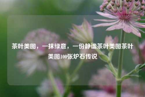 茶韵美图，一片绿色带来的静谧感，邀你一同探秘100款精美茶叶照》</p></p><p><ol type=