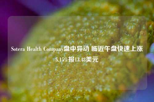 Sotera Health Company盘中异动 临近午盘快速上涨5.15%报13.48美元