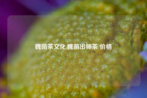 魏荫茶文化,魏荫出师茶 价格