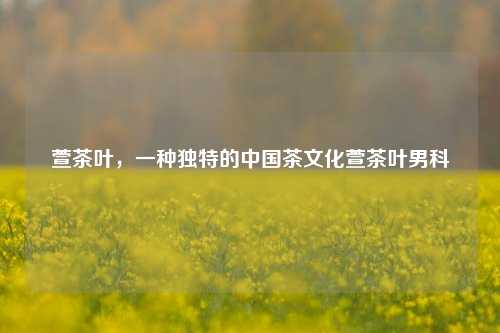 萱茶叶，一种独特的中国茶文化萱茶叶男科