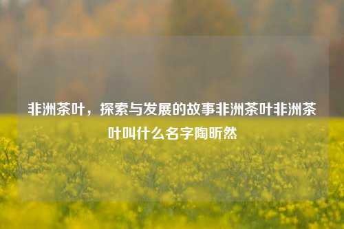 非洲茶叶，探索与发展的故事非洲茶叶非洲茶叶叫什么名字陶昕然