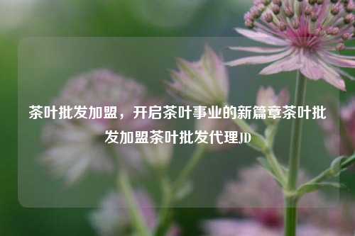 茶叶批发加盟，开启茶叶事业的新篇章茶叶批发加盟茶叶批发代理JD