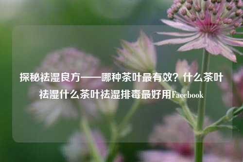 探秘祛湿良方——哪种茶叶最有效？什么茶叶祛湿什么茶叶祛湿排毒最好用Facebook