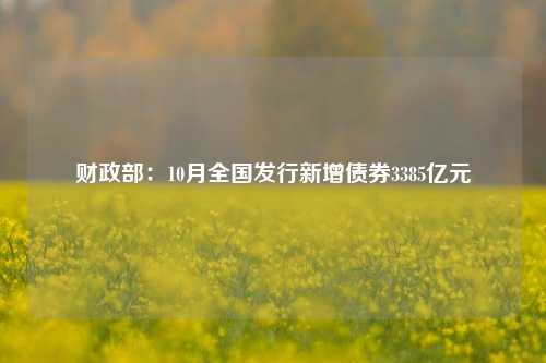 财政部：10月全国发行新增债券3385亿元