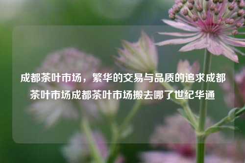 成都茶叶市场，繁华的交易与品质的追求成都茶叶市场成都茶叶市场搬去哪了世纪华通