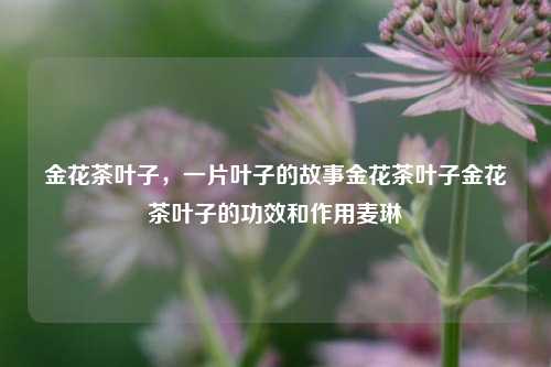 金花茶叶子，一片叶子的故事金花茶叶子金花茶叶子的功效和作用麦琳