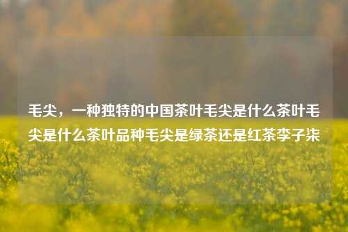 毛尖，一种独特的中国茶叶毛尖是什么茶叶毛尖是什么茶叶品种毛尖是绿茶还是红茶李子柒