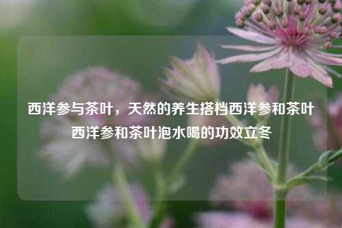 西洋参与茶叶的养生魅力