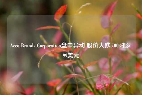 Acco Brands Corporation盘中异动 股价大跌5.00%报5.99美元