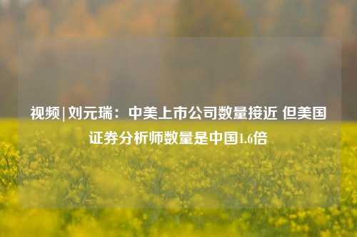 视频|刘元瑞：中美上市公司数量接近 但美国证券分析师数量是中国1.6倍