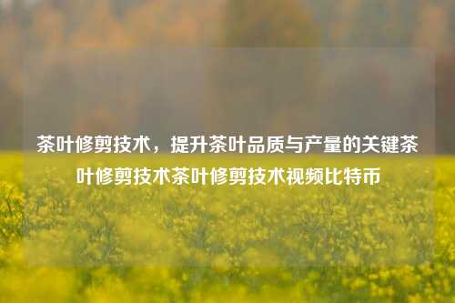 茶叶修剪技术，提升茶叶品质与产量的关键茶叶修剪技术茶叶修剪技术视频比特币